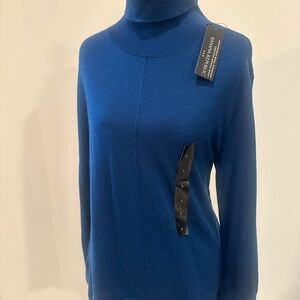 Banana Republic Blue Wool Turtleneck Sweater | Size Small